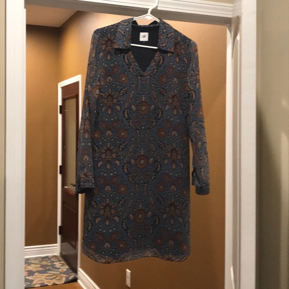 Cabi dress